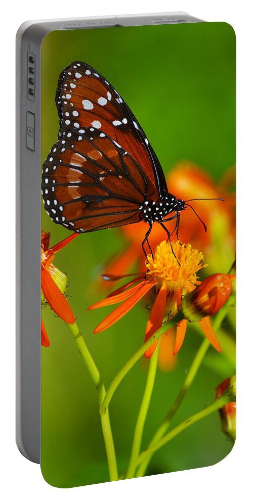 Butterfly Portable Battery Charger featuring the photograph The Soldier by Melanie Moraga
