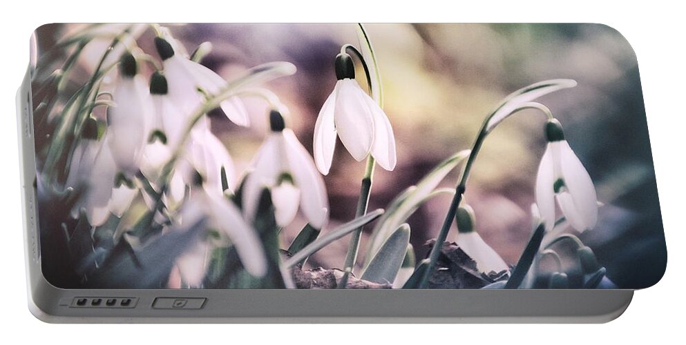 Snowdrop Portable Battery Charger featuring the photograph The Songs of spring by Jaroslav Buna