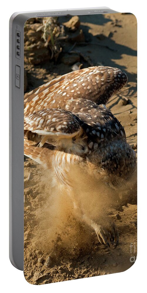 Owl Portable Battery Charger featuring the photograph The Strike by Michael Dawson