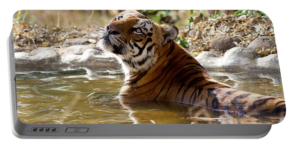 Wildcat Portable Battery Charger featuring the photograph The Thinker by Ramabhadran Thirupattur