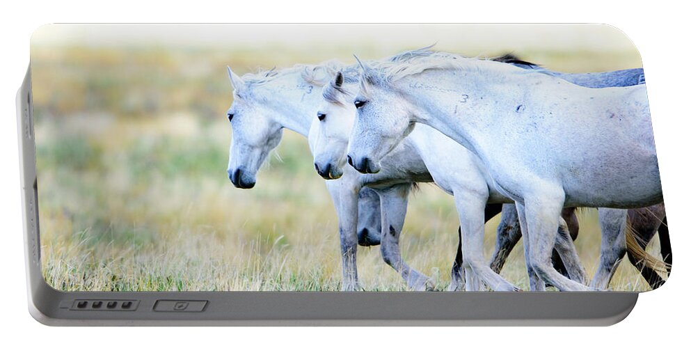 Wild Horses Portable Battery Charger featuring the photograph The Three Amigos by Bryan Carter