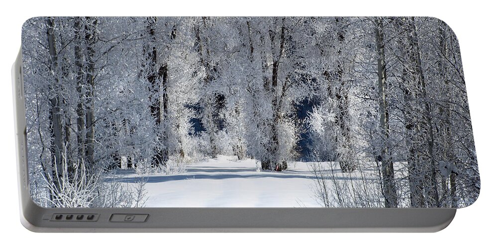 Winter Portable Battery Charger featuring the photograph The Untraveled Winter Road by DeeLon Merritt
