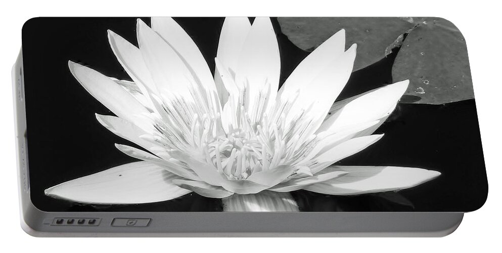 Water Lily Portable Battery Charger featuring the photograph The Vintage Lily II by Melanie Moraga