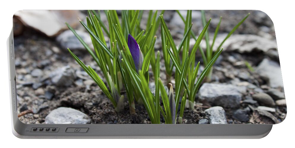Flower Portable Battery Charger featuring the photograph The Wait by Jeff Severson