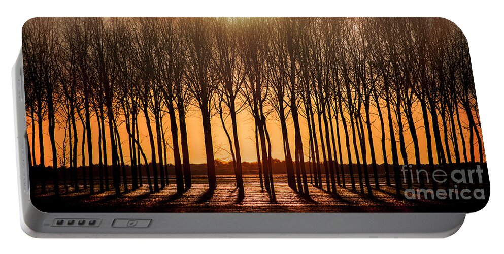 Walnut Portable Battery Charger featuring the photograph The Walnut Grove by Michael Arend