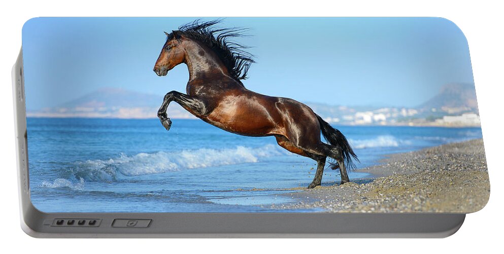 Russian Artists New Wave Portable Battery Charger featuring the photograph The Wave. Andalusian Horse by Ekaterina Druz