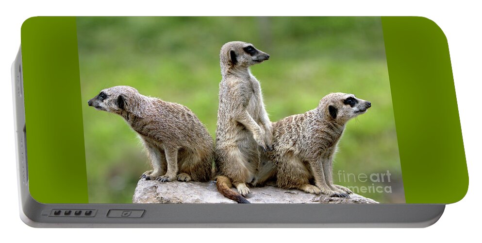 Small Portable Battery Charger featuring the photograph Dudley Zoo The Wild Bunch by Stephen Melia