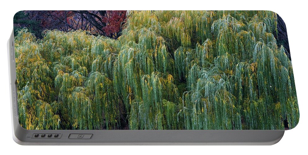 New York City Portable Battery Charger featuring the photograph The Willows of Central Park by Lorraine Devon Wilke