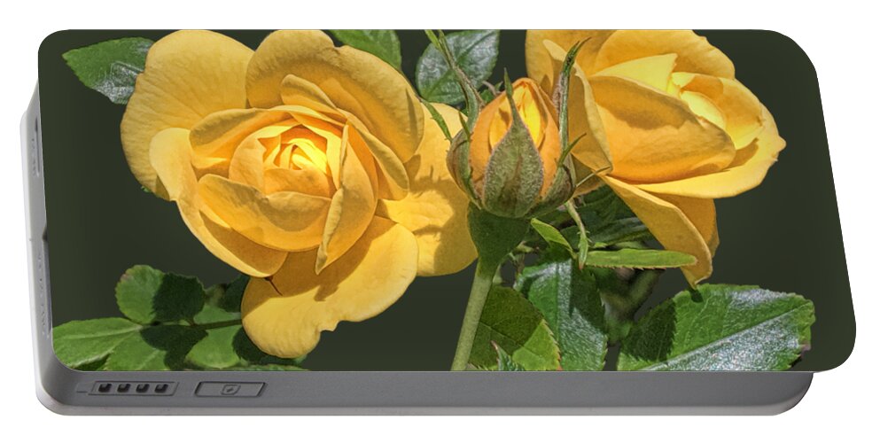 Yellow Roses Portable Battery Charger featuring the digital art The Yellow Rose Family by Daniel Hebard