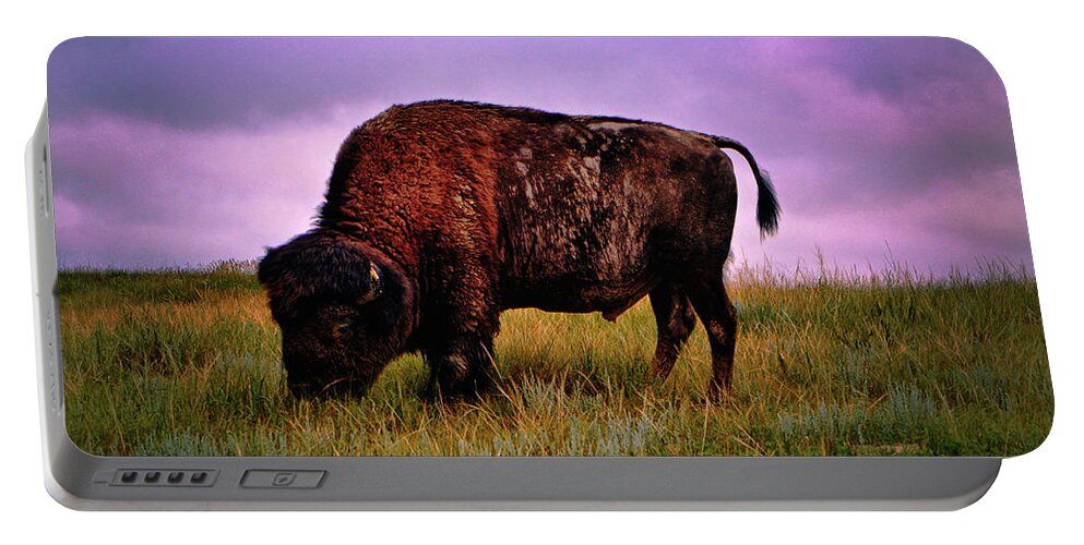 Theodore Roosevelt National Park Portable Battery Charger featuring the photograph Theodore Roosevelt National Park 008 - Buffalo by George Bostian