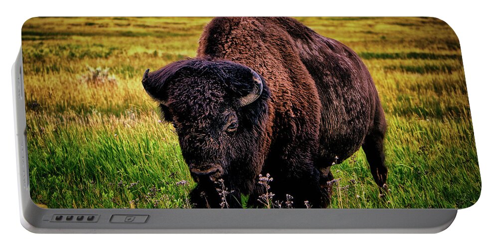 Theodore Roosevelt National Park Portable Battery Charger featuring the photograph Theodore Roosevelt National Park 009 - Buffalo by George Bostian