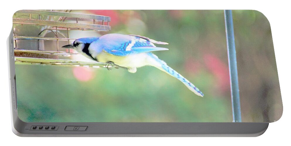 Blue Jay Portable Battery Charger featuring the photograph Think it Through by Merle Grenz