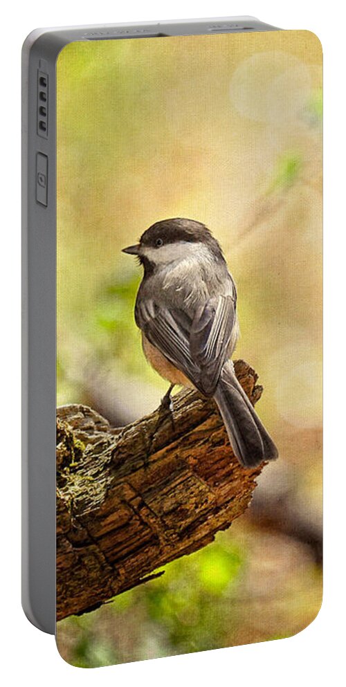 Bird Portable Battery Charger featuring the photograph Thinking of Spring by Lois Bryan