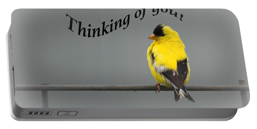 Thinking Of You Portable Battery Charger featuring the photograph Thinking of you - American Goldfinch by Holden The Moment
