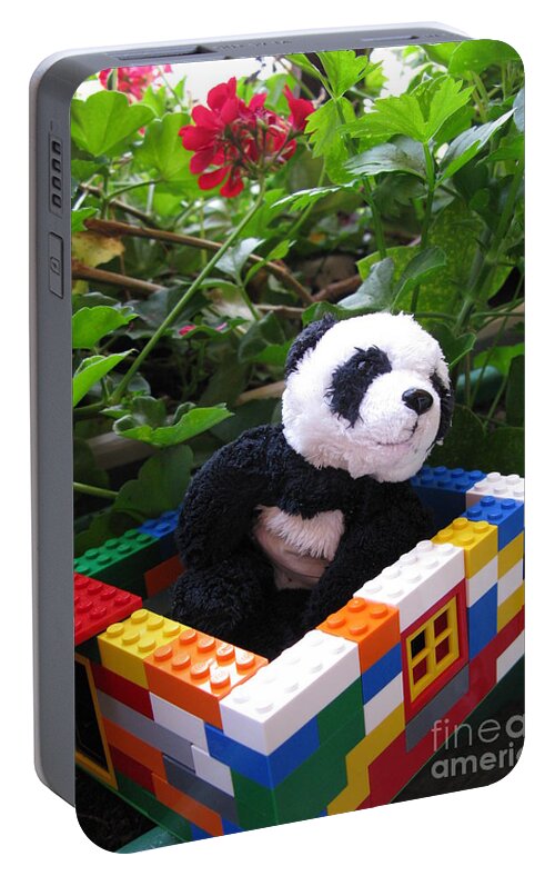 Baby Panda Portable Battery Charger featuring the photograph This house is too small for me by Ausra Huntington nee Paulauskaite