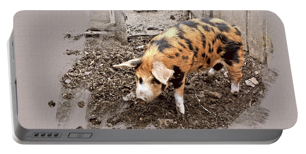 Pig Portable Battery Charger featuring the photograph This Little Piggy by Mindy Newman