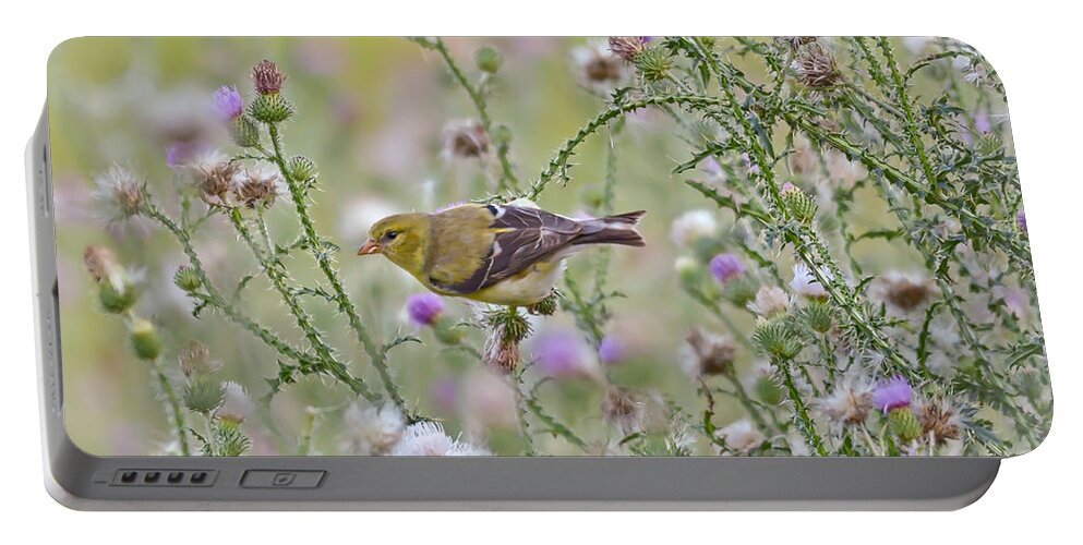 Goldfinch Portable Battery Charger featuring the photograph Thistle Bender by Kerri Farley