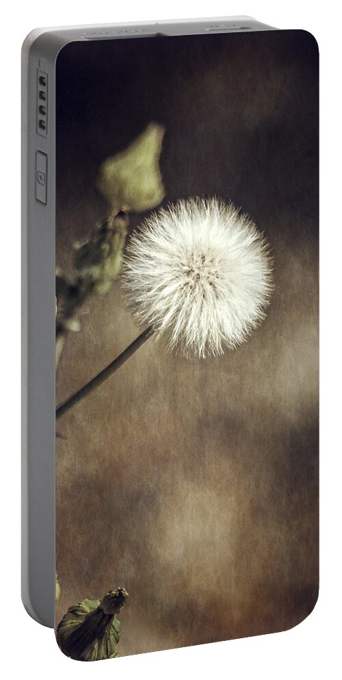 Thistle Portable Battery Charger featuring the photograph Thistle by Carolyn Marshall