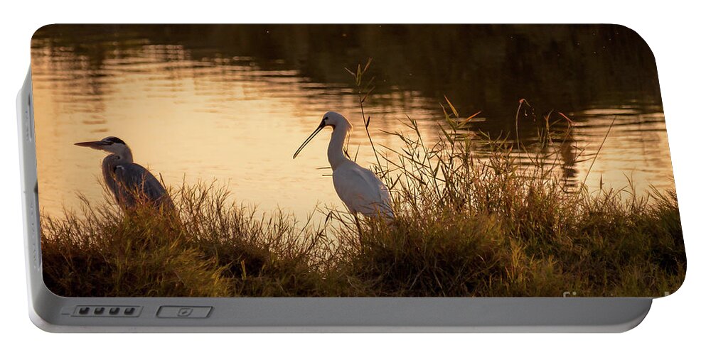 Spoonbill Portable Battery Charger featuring the photograph Thoughts on Sunset by Arik Baltinester