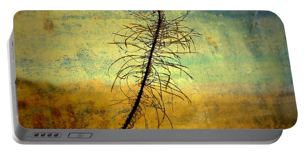 Landscape Portable Battery Charger featuring the photograph Thoughts So Often by Mark Ross
