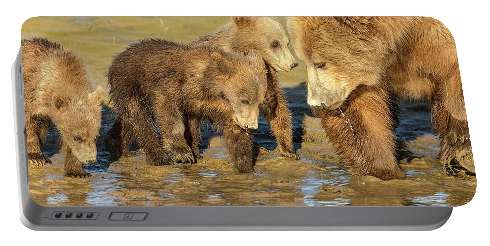 Grizzly Bear Portable Battery Charger featuring the photograph Three Cubs and Mother Drinking at the River by Mark Harrington