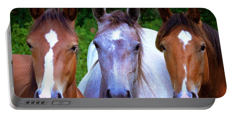 Horse Portable Battery Charger featuring the photograph Three Friends by Michele A Loftus