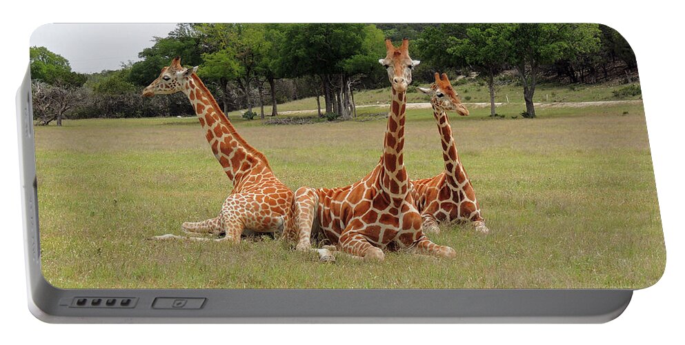 Giraffe Portable Battery Charger featuring the photograph Three Giraffe at Fossil Rim by Jayne Wilson