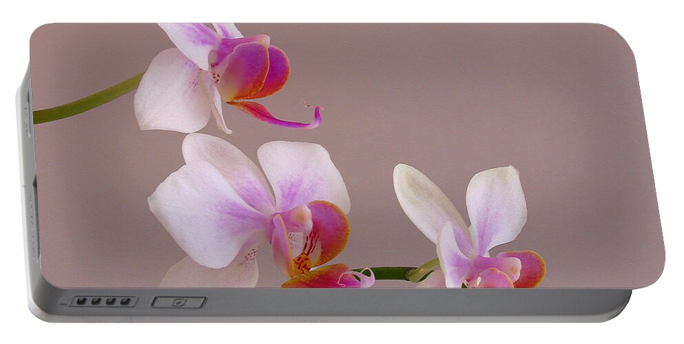 Keefe Portable Battery Charger featuring the photograph Three Orchids by Juergen Roth