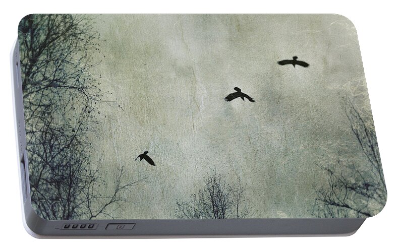 Winter Portable Battery Charger featuring the photograph Three Ravens by Priska Wettstein