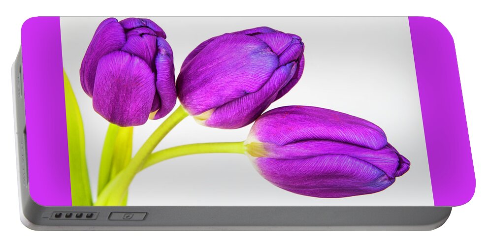 Photographic Art Portable Battery Charger featuring the photograph Three Tulips by John Roach