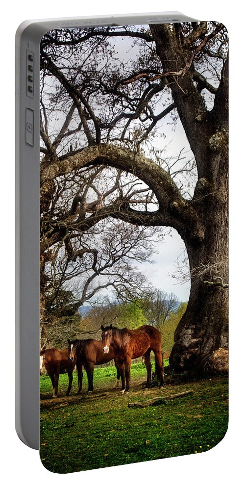 Horses Portable Battery Charger featuring the photograph Three Under A Tree by Greg and Chrystal Mimbs