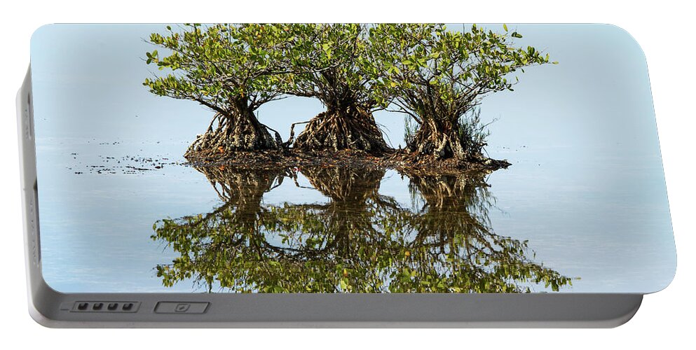 Nature Portable Battery Charger featuring the photograph Three's Company by Arthur Dodd
