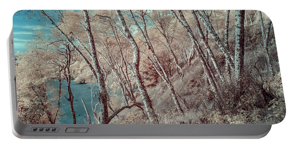 Trees Portable Battery Charger featuring the photograph Through the Trees in Infrared by Greg Nyquist