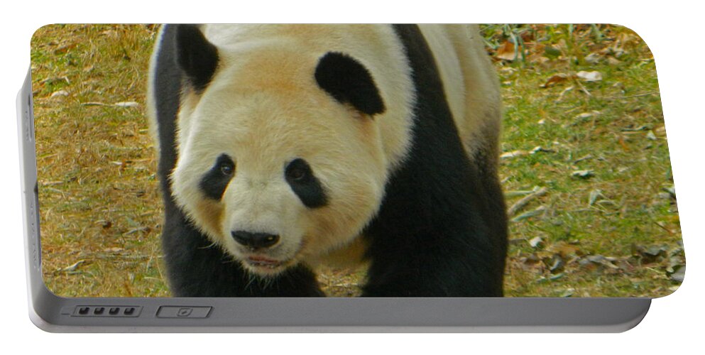 Animal Portable Battery Charger featuring the photograph Tian Tian - Papa Panda by Emmy Marie Vickers