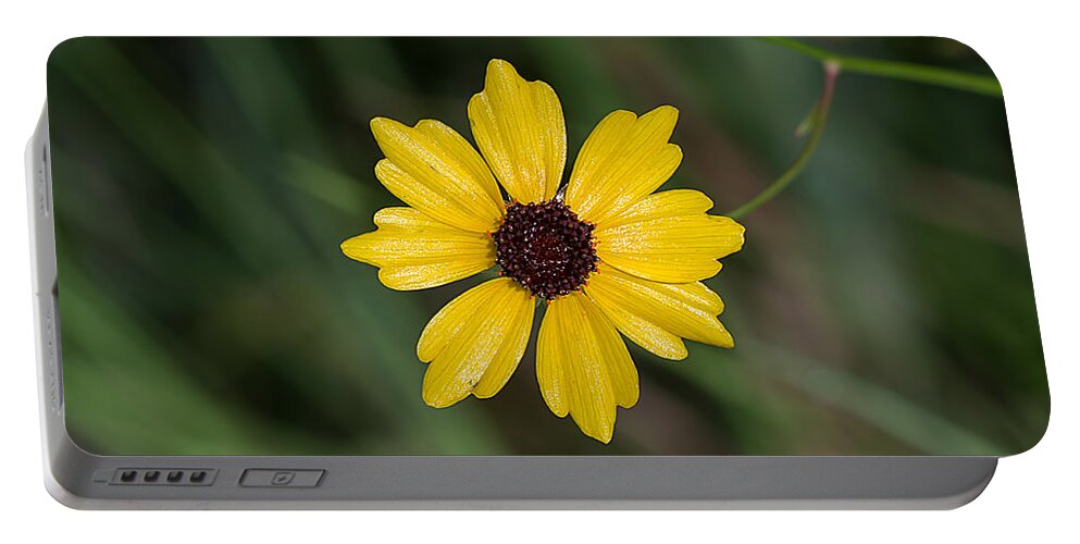 Nature Portable Battery Charger featuring the photograph Tickseed Flower by Kenneth Albin