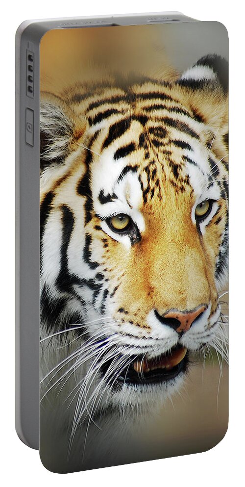 Yellow Portable Battery Charger featuring the photograph Tiger Eyes by Michael Peychich