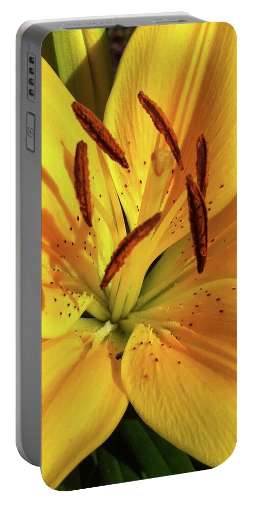 Lily Portable Battery Charger featuring the photograph Tiger Lily by DiDesigns Graphics
