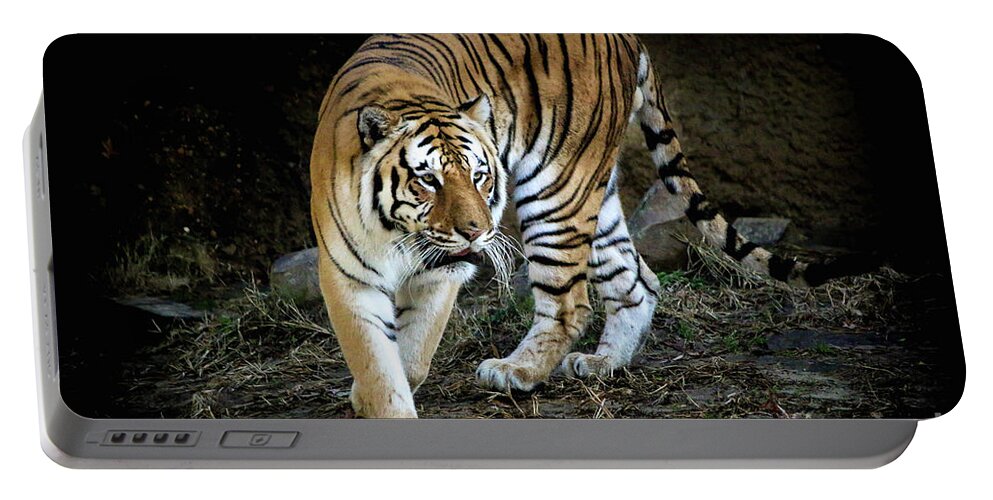 Tiger Portable Battery Charger featuring the photograph Tiger Stripes Memphis Zoo by Veronica Batterson