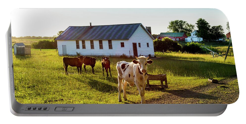 Cow Portable Battery Charger featuring the photograph Til the Cows Come Home by Brent Buchner