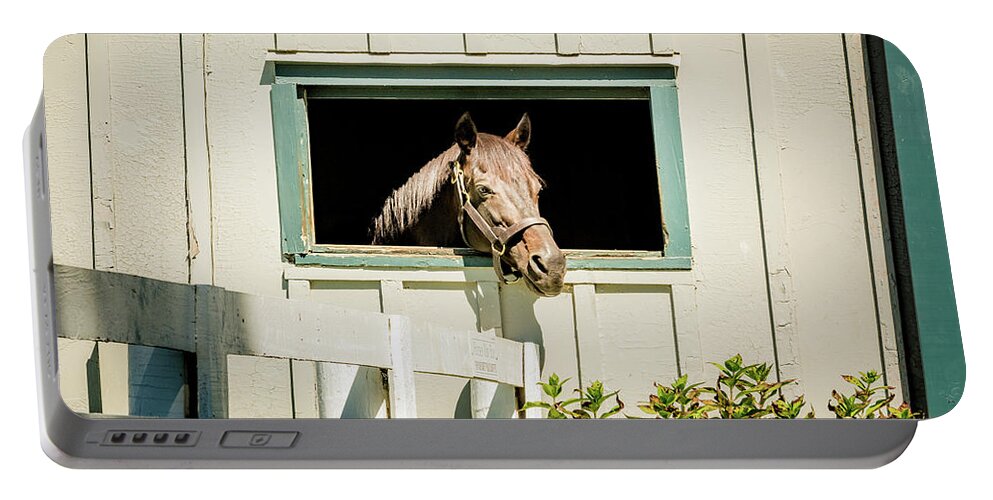 Horse Portable Battery Charger featuring the photograph Time for a Tan by Pamela Williams