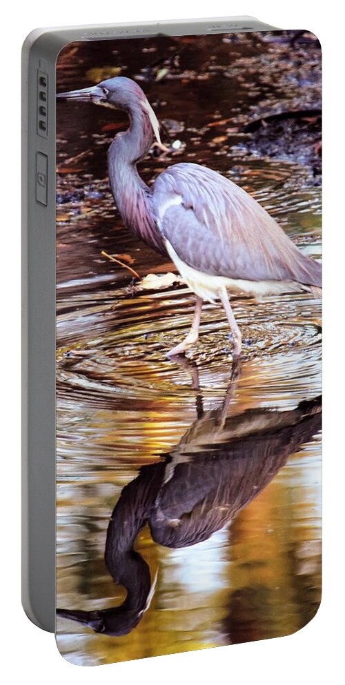 Tricolored Heron Portable Battery Charger featuring the photograph Time for Reflection in Hilton Head by Mary Ann Artz