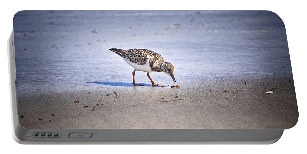Bird Walk Portable Battery Charger featuring the photograph Time to Dine by Kristina Deane