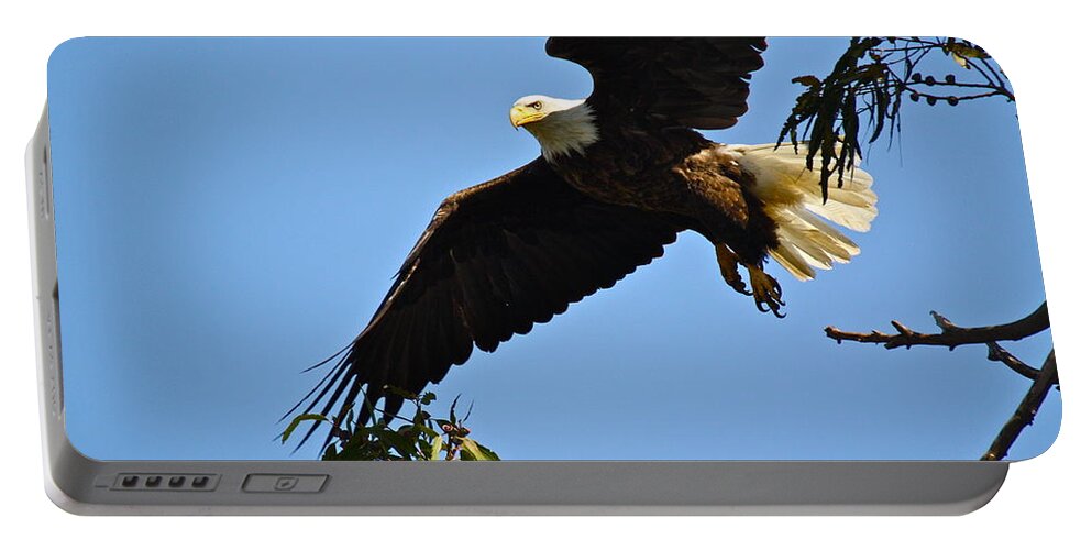 Birds Portable Battery Charger featuring the photograph Time To Go by Diana Hatcher