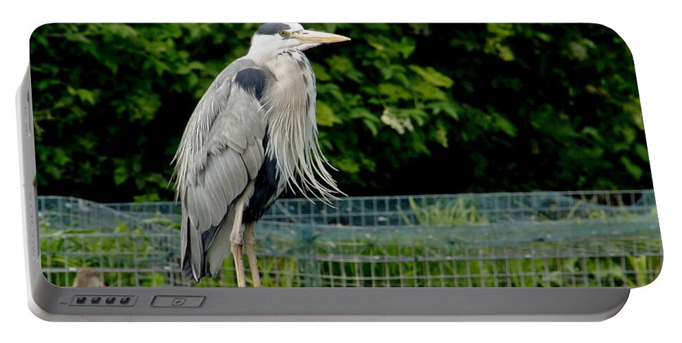 Heron Portable Battery Charger featuring the photograph Time to look smart. by Elena Perelman