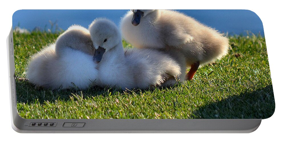 Cygnets Portable Battery Charger featuring the photograph Time To Snuggle by Deb Halloran