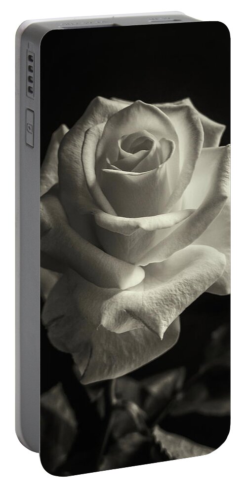 Rose Portable Battery Charger featuring the photograph Tinted Rose by Jeff Townsend