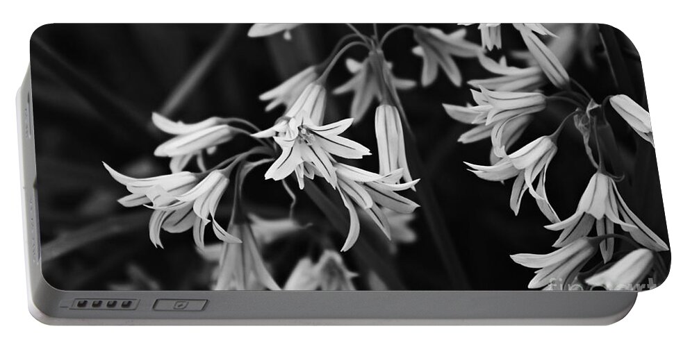 Spanish Wildflowers Portable Battery Charger featuring the photograph Tiny Bells of White by Clare Bevan