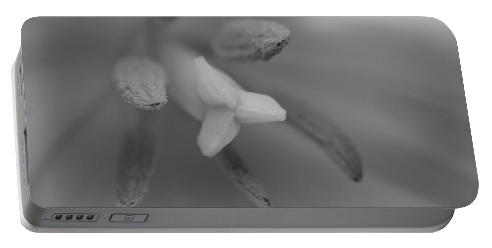 Florals Portable Battery Charger featuring the photograph Tipped Off by Arlene Carmel