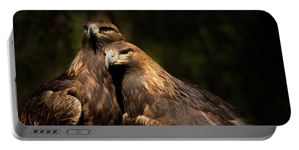Bird Portable Battery Charger featuring the photograph Together by Bob Cournoyer
