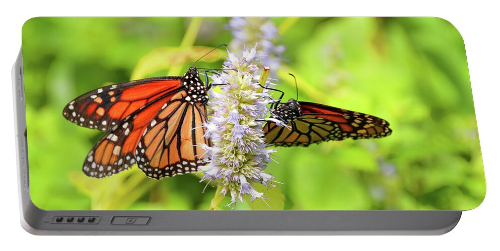 Monarch Portable Battery Charger featuring the photograph Together We Can Fly So High by Robyn King